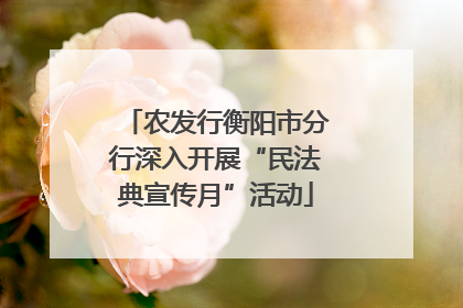 农发行衡阳市分行深入开展“民法典宣传月”活动