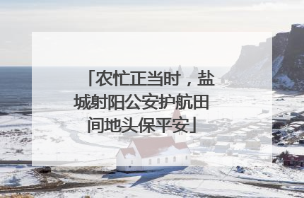 农忙正当时，盐城射阳公安护航田间地头保平安