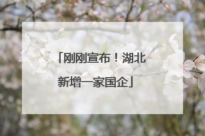 刚刚宣布！湖北新增一家国企