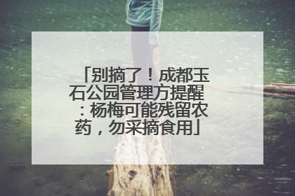 别摘了！成都玉石公园管理方提醒：杨梅可能残留农药，勿采摘食用