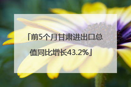 前5个月甘肃进出口总值同比增长43.2%