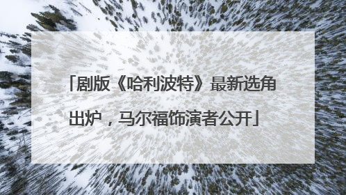 剧版《哈利波特》最新选角出炉，马尔福饰演者公开
