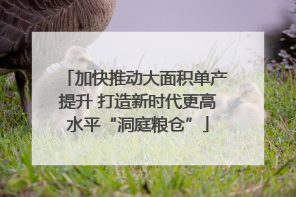 加快推动大面积单产提升 打造新时代更高水平“洞庭粮仓”