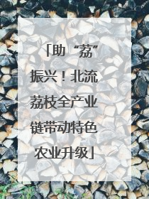 助“荔”振兴！北流荔枝全产业链带动特色农业升级