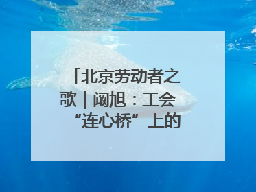 北京劳动者之歌｜阚旭：工会“连心桥”上的37℃守桥人