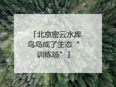 北京密云水库鸟岛成了生态“训练场”