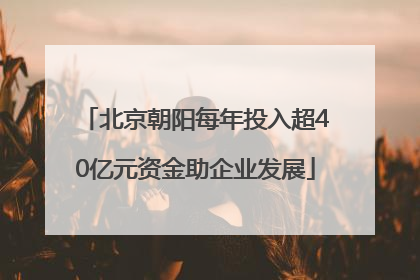 北京朝阳每年投入超40亿元资金助企业发展
