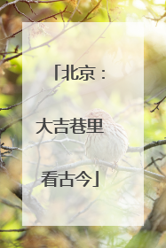 北京：大吉巷里看古今