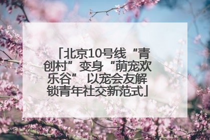 北京10号线“青创村”变身“萌宠欢乐谷” 以宠会友解锁青年社交新范式
