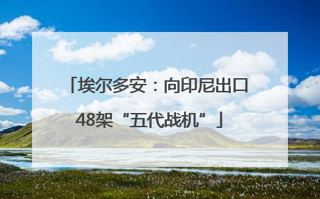 埃尔多安：向印尼出口48架“五代战机”