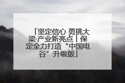 坚定信心 勇挑大梁·产业新亮点丨保定全力打造“中国电谷”升级版