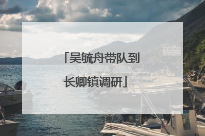 吴毓舟带队到长卿镇调研