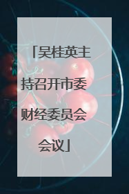 吴桂英主持召开市委财经委员会会议