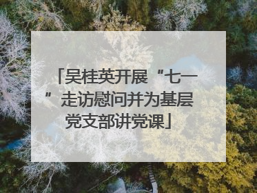 吴桂英开展“七一”走访慰问并为基层党支部讲党课