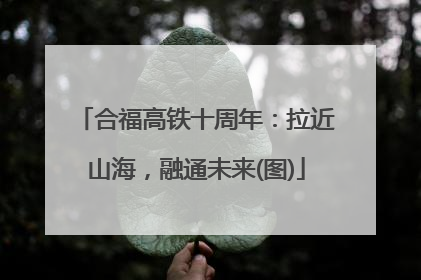 合福高铁十周年：拉近山海，融通未来(图)
