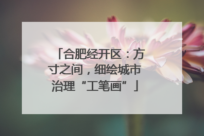 合肥经开区：方寸之间，细绘城市治理“工笔画”