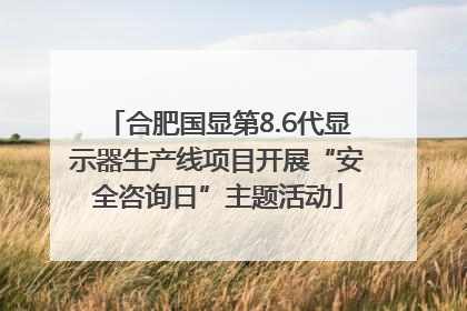 合肥国显第8.6代显示器生产线项目开展“安全咨询日”主题活动