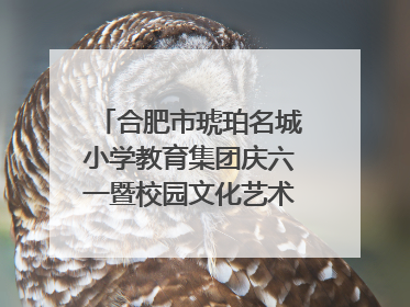 合肥市琥珀名城小学教育集团庆六一暨校园文化艺术节闭幕式文艺汇演圆满举行