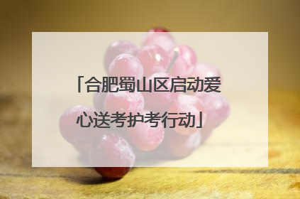 合肥蜀山区启动爱心送考护考行动