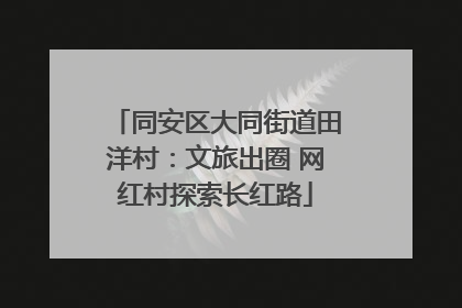 同安区大同街道田洋村：文旅出圈 网红村探索长红路
