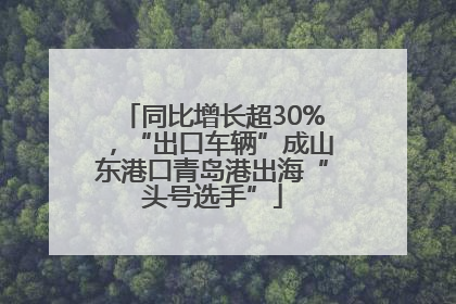 同比增长超30%，“出口车辆”成山东港口青岛港出海“头号选手”