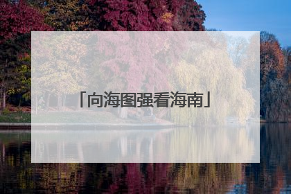 向海图强看海南