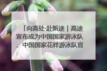 向高处·赴新途｜高途宣布成为中国国家游泳队、中国国家花样游泳队官方学习合作伙伴
