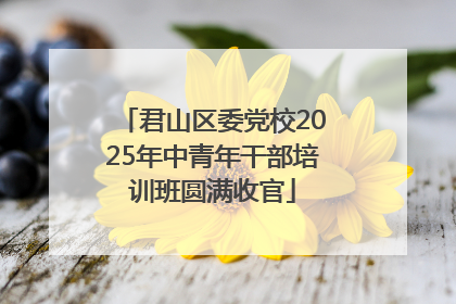 君山区委党校2025年中青年干部培训班圆满收官