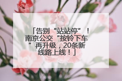 告别“站站停”！南京公交“按铃下车”再升级，20条新线路上线！