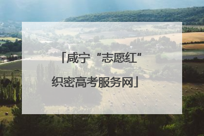 咸宁“志愿红”织密高考服务网