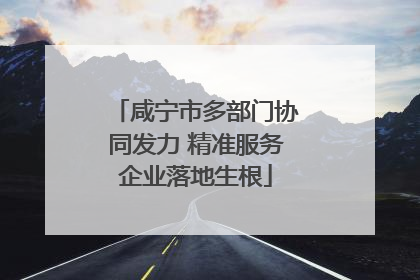 咸宁市多部门协同发力 精准服务企业落地生根
