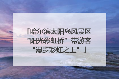 哈尔滨太阳岛风景区“阳光彩虹桥”带游客“漫步彩虹之上”