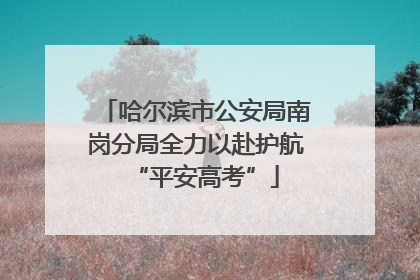 哈尔滨市公安局南岗分局全力以赴护航“平安高考”