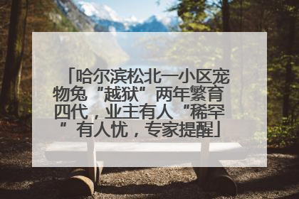 哈尔滨松北一小区宠物兔“越狱”两年繁育四代，业主有人“稀罕”有人忧，专家提醒