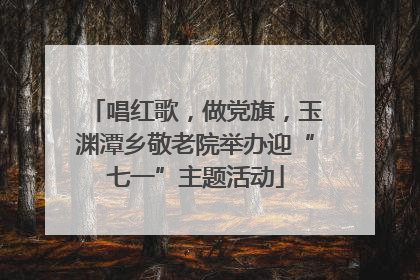 唱红歌，做党旗，玉渊潭乡敬老院举办迎“七一”主题活动