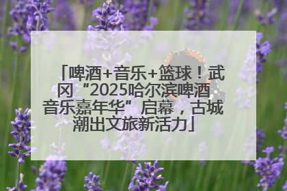 啤酒+音乐+篮球！武冈“2025哈尔滨啤酒音乐嘉年华”启幕，古城潮出文旅新活力