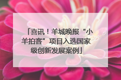 喜讯！羊城晚报“小羊拍客”项目入选国家级创新发展案例