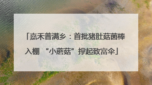 嘉禾普满乡：首批猪肚菇菌棒入棚 “小蘑菇”撑起致富伞
