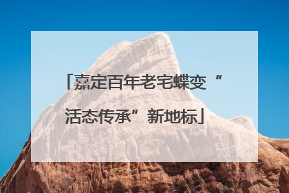 嘉定百年老宅蝶变“活态传承”新地标