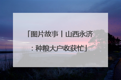 图片故事丨山西永济：种粮大户收获忙
