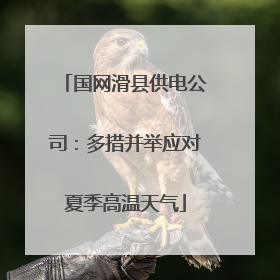 国网滑县供电公司：多措并举应对夏季高温天气