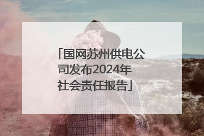 国网苏州供电公司发布2024年社会责任报告