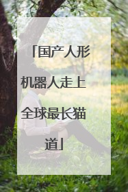 国产人形机器人走上全球最长猫道