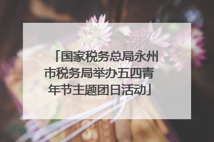 国家税务总局永州市税务局举办五四青年节主题团日活动