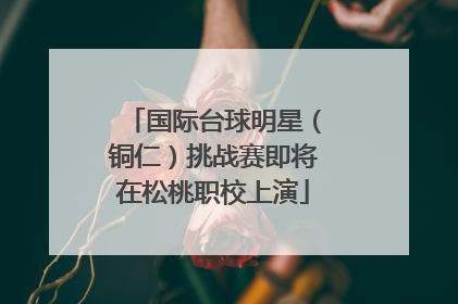 国际台球明星（铜仁）挑战赛即将在松桃职校上演