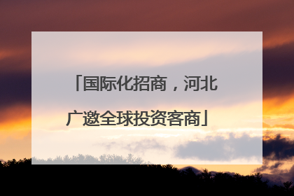 国际化招商，河北广邀全球投资客商