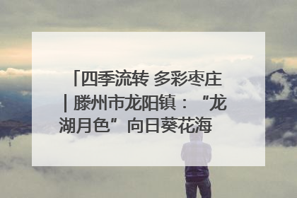 四季流转 多彩枣庄｜滕州市龙阳镇：“龙湖月色”向日葵花海 绘就乡村振兴新画卷