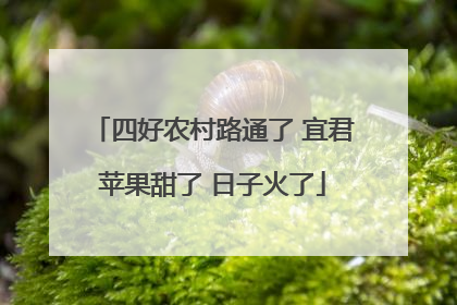 四好农村路通了 宜君苹果甜了 日子火了