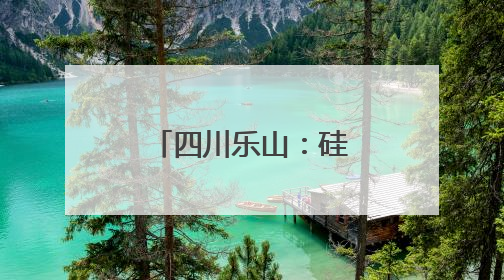四川乐山：硅产业代表专家齐聚共商技术创新与协同发展