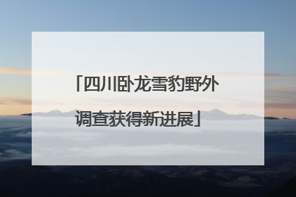 四川卧龙雪豹野外调查获得新进展